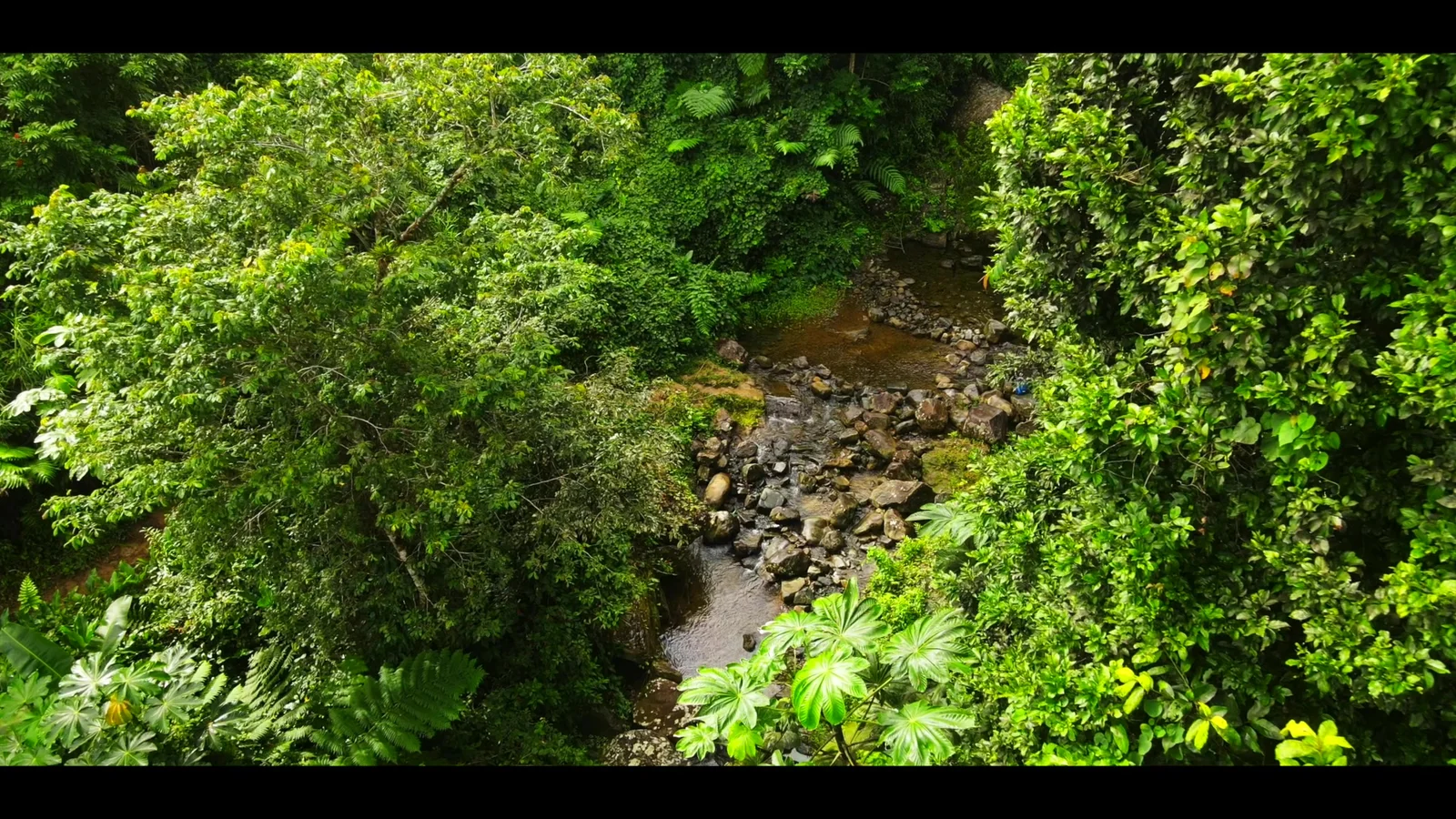 Hike to a Hidden Waterfall